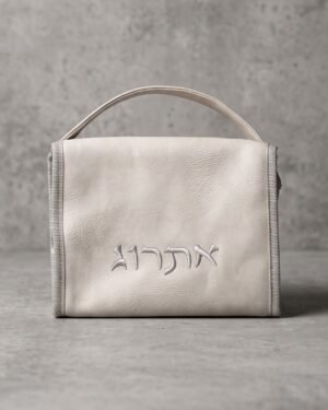תיק אתרוג אבן