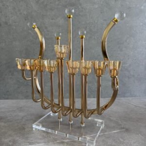 חנוכיה נבל משולב אקריל