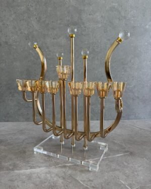 חנוכיה נבל משולב אקריל