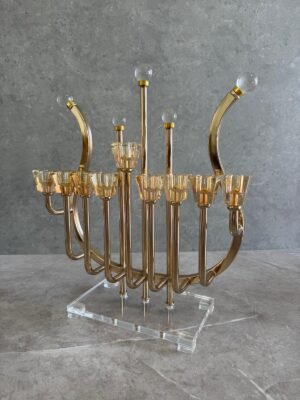 חנוכיה נבל משולב אקריל