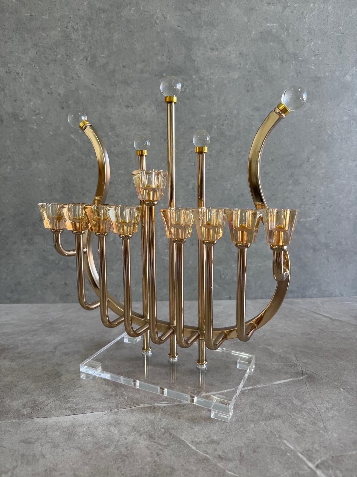 חנוכיה נבל משולב אקריל